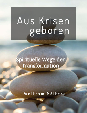 Cover: Aus Krisen geboren